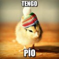 /album/fotogaleria/memes-de-frio18-jpg/